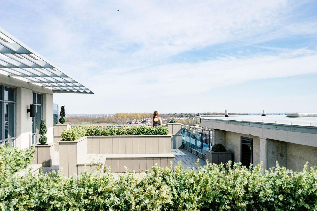 rooftop deck Sarasota